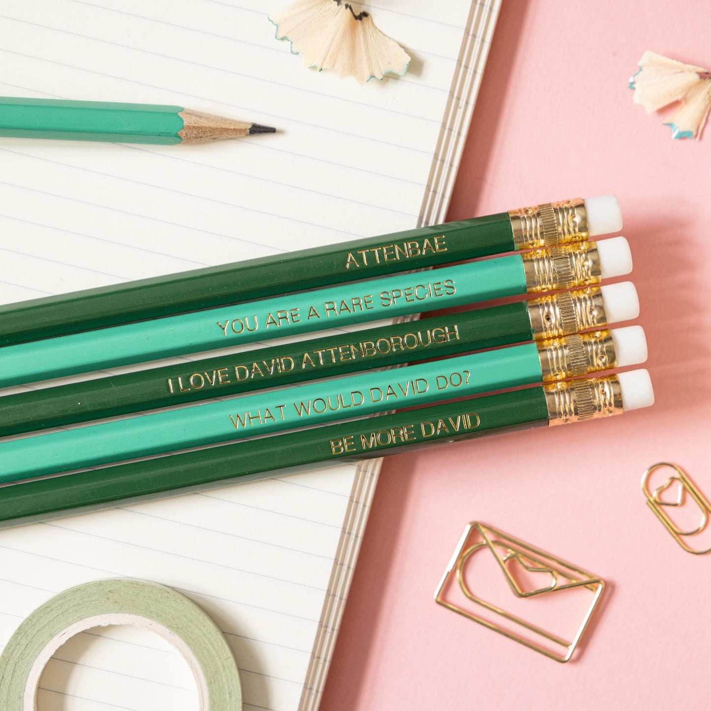 David Attenborough pencil set
