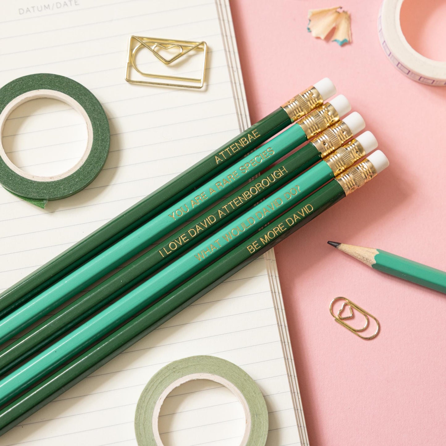 David Attenborough pencil set