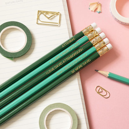 David Attenborough pencil set