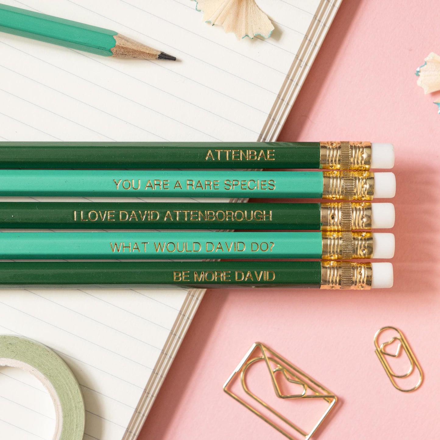 David Attenborough pencil set