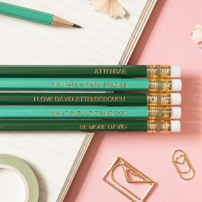 David Attenborough pencil set