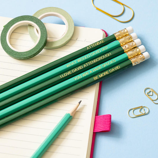 David Attenborough pencil set